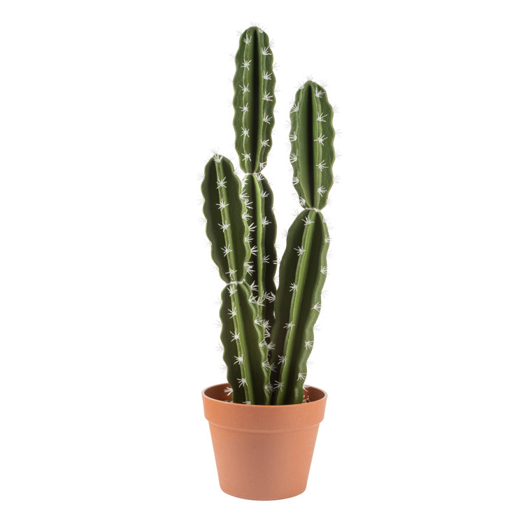 Naturae Decor 27 Faux Cactus Plant in Pot Wayfair